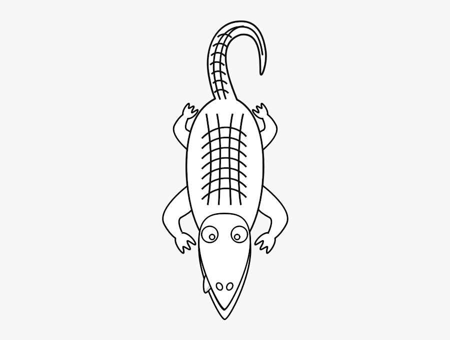 Alligator Line Art - Reptile Booklet For Kids, Transparent Clipart