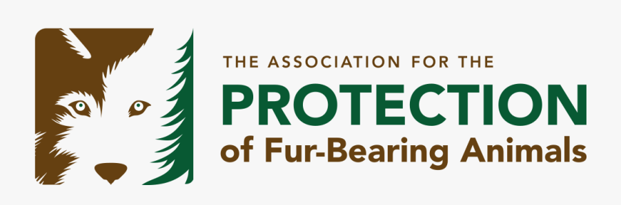 - - Association Protection Of Animals, Transparent Clipart