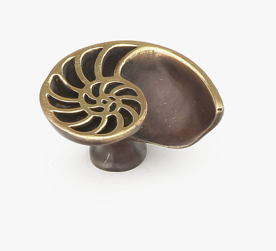Symphony Neptune Designs Knob, Shell, Left, Polished - Brass, Transparent Clipart