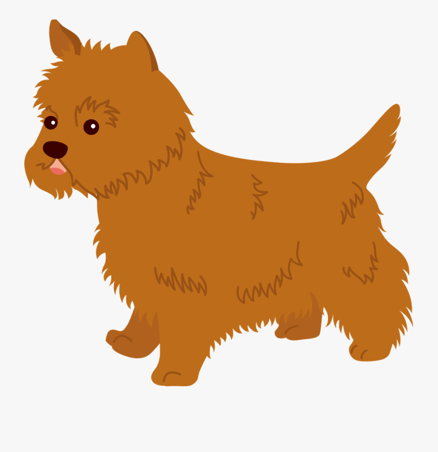 Australian Terrier, Transparent Clipart