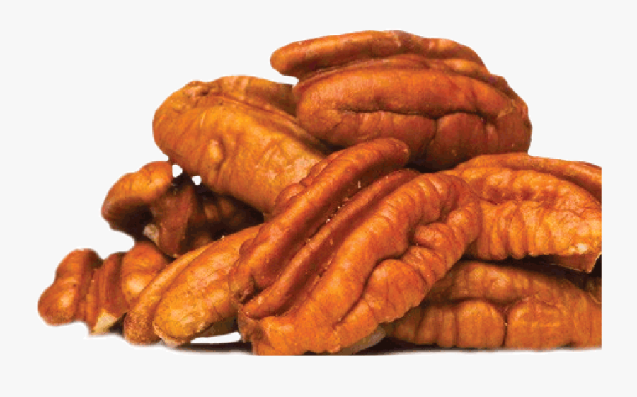 Transparent Pecan Png - Pecans Png, Transparent Clipart