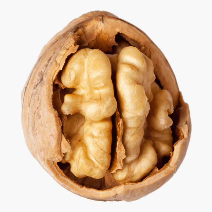 Nut Clipart Pecan Nut - Walnut Cracked, Transparent Clipart