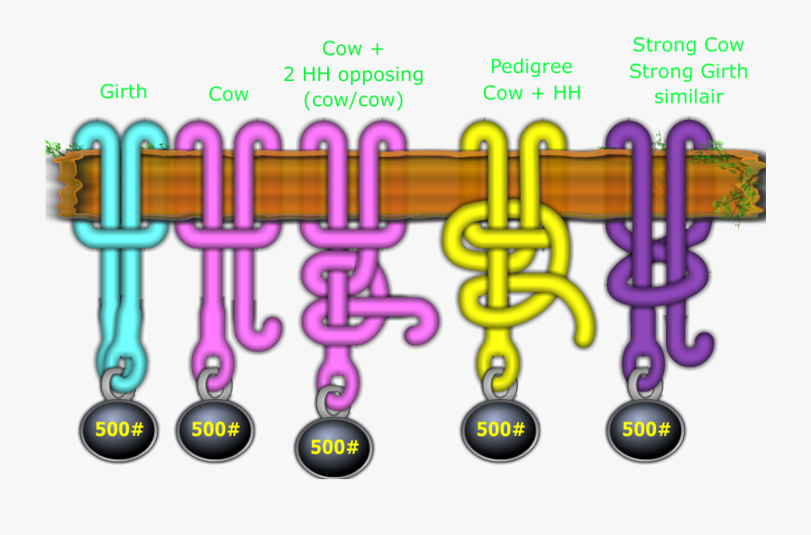 Knot Clipart Hitch - Tie Cow Hitch, Transparent Clipart