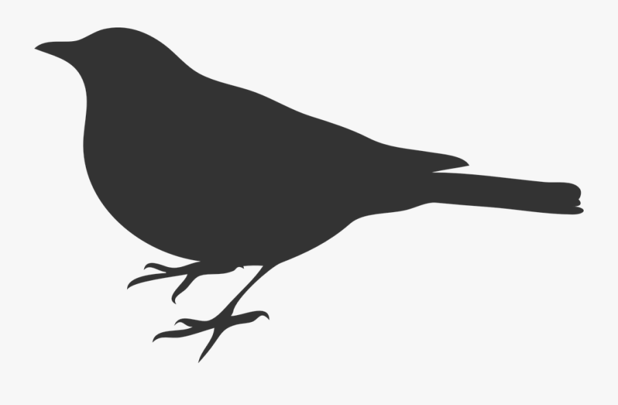 Mockingbird Clipart Burung - Bird Silhouette Clip Art, Transparent Clipart
