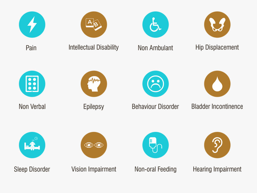 Associated Symptoms Of Cerebral Palsy - Signs And Symptoms Of Cerebral Palsy Table, Transparent Clipart