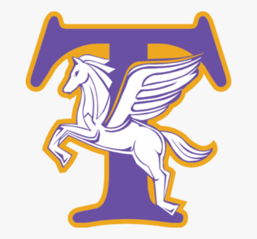 Wildcat Clipart Adirondack - Troy High School Troy Ny Mascot, Transparent Clipart