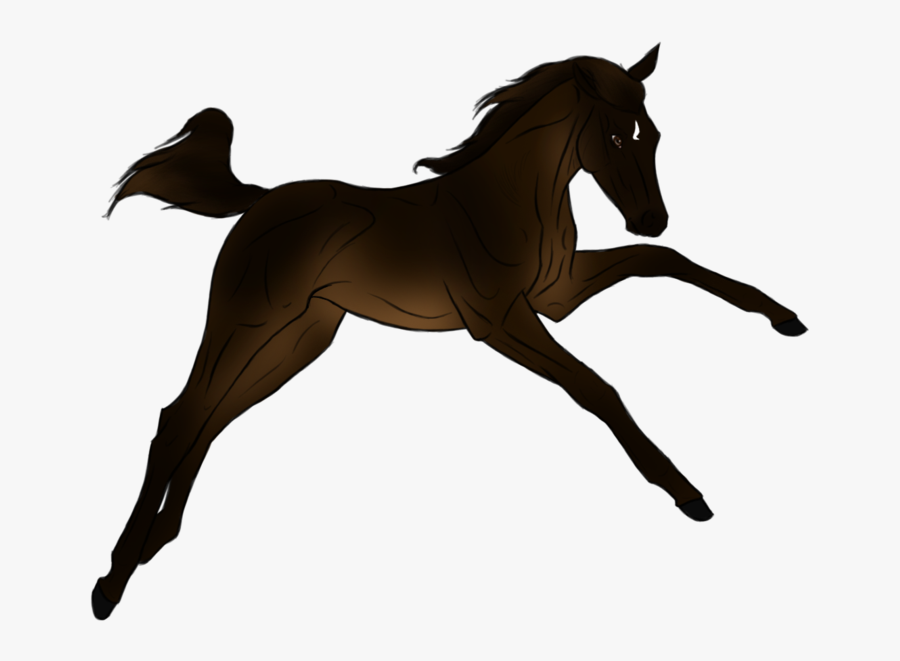 Foal Horse Stallion Pony Mane - Mane, Transparent Clipart
