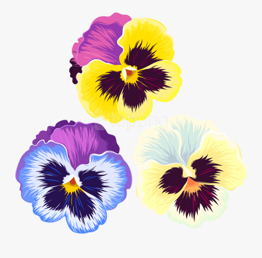 Violet-family - Pansy Clipart Png, free clipart download, png, clipart , cl...