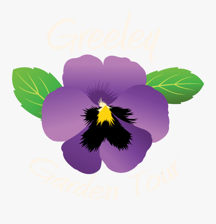 Pansies Png -pansy Clipart Indigo Plant - Pansy, Transparent Clipart