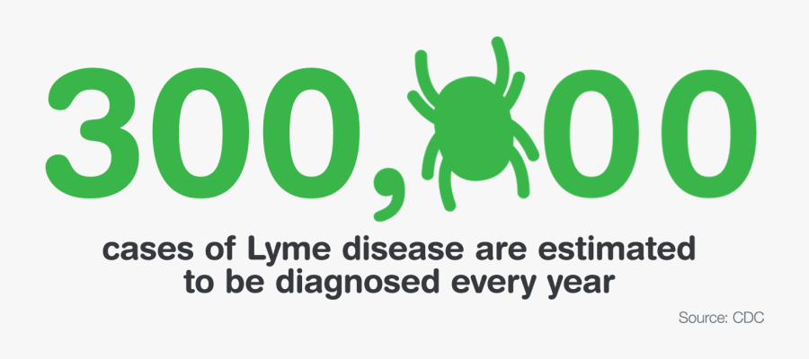 Mosquito Clipart Scratch Skin - Invertebrate, Transparent Clipart