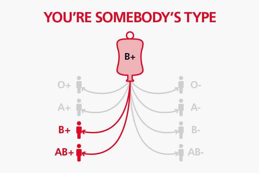 Who Can Receive B Positive Blood - B+ Blood Type, Transparent Clipart