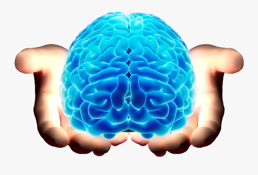 Brain Neurology Neurosurgery Spinal Cord - Brain Free, Transparent Clipart