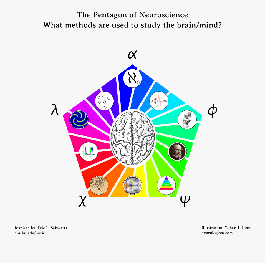 Neurogreek - Cognitive Neuroscience And Neuroinformatics, Transparent Clipart
