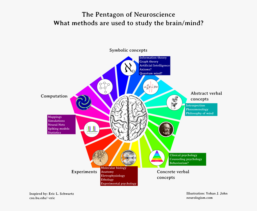 Neuropentagram2 - Cognitive Neuroscience And Neuroinformatics, Transparent Clipart