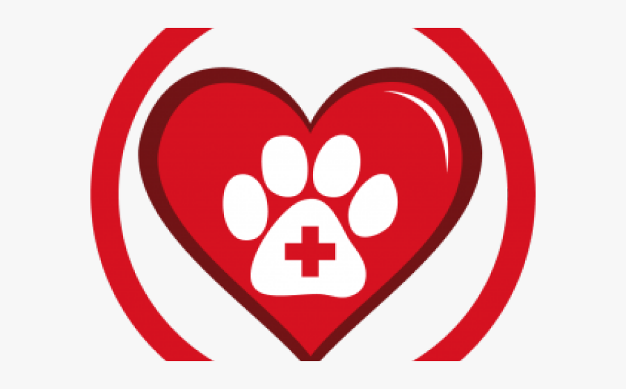 Doctor Symbol Clipart Vet - Animal Care Center Of Plainfield, Transparent Clipart