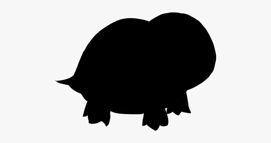 Tutle Png Transparent Images - Tiffany Rose Sikorski, Transparent Clipart