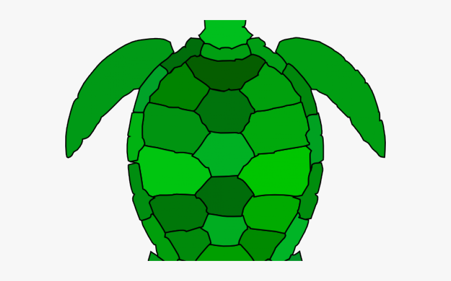 Green Turtle Cliparts - Sea Turtle Clip Art, Transparent Clipart