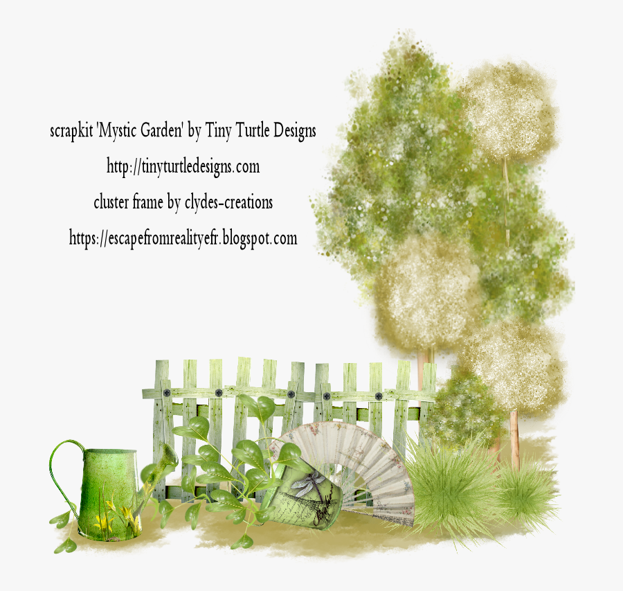 Grass, Transparent Clipart