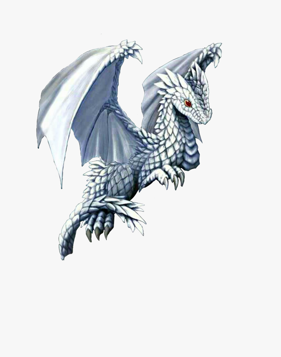 #dragon #white #whitedragon #mystical #mythological - Dragon, Transparent Clipart