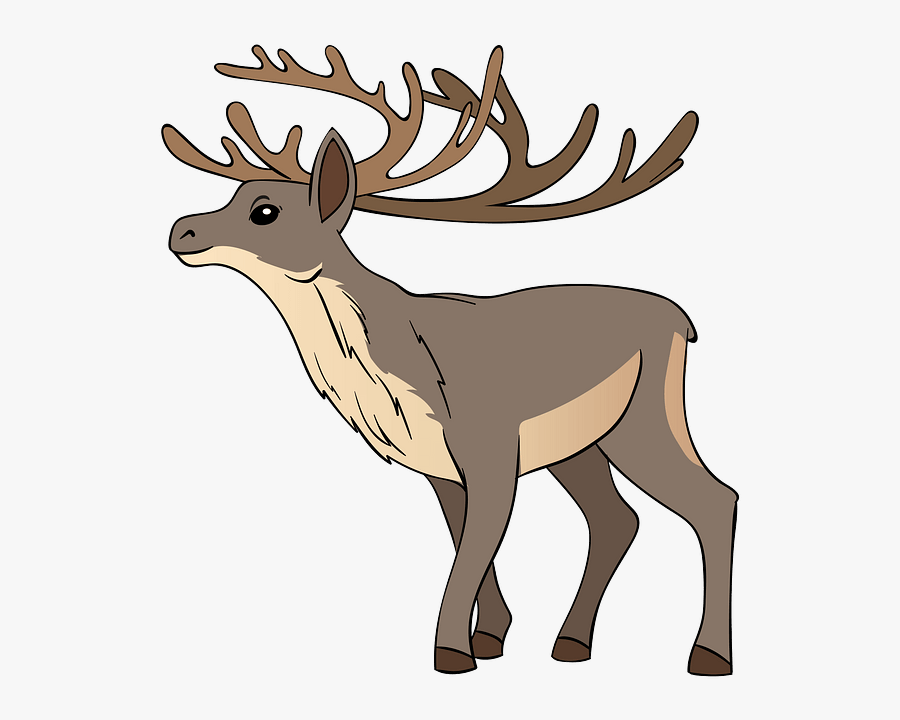 Elk, Transparent Clipart