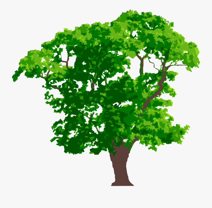 Зелёная Планета Фото, Transparent Clipart