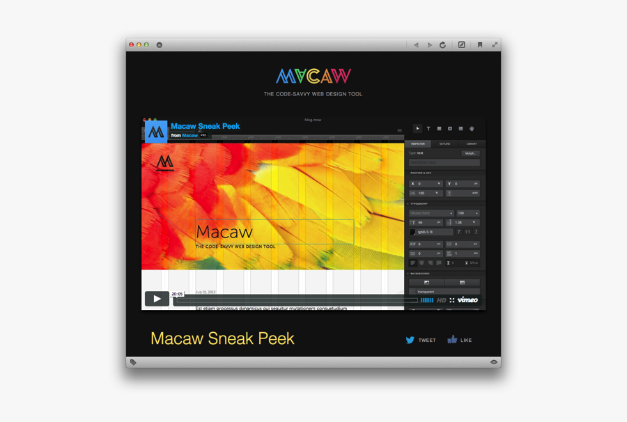 Clip Art Macaw Web - Animation, Transparent Clipart