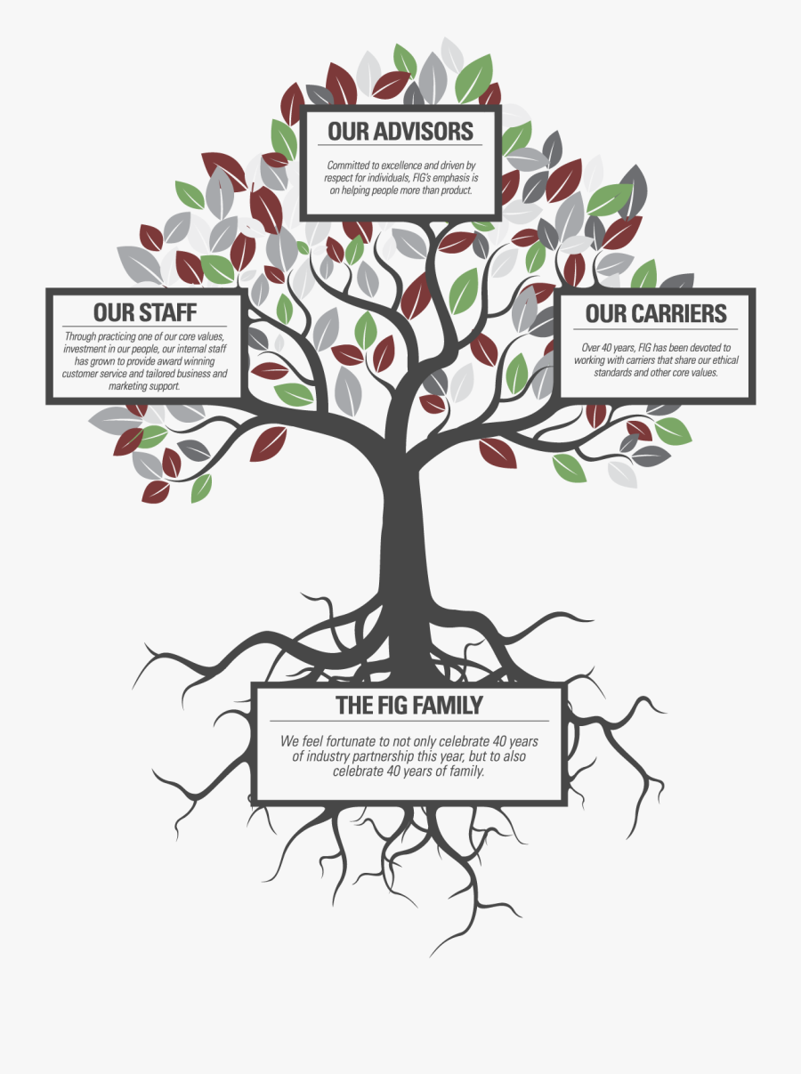 1176 × 1520 In Family-tree - Ethical Life, Transparent Clipart