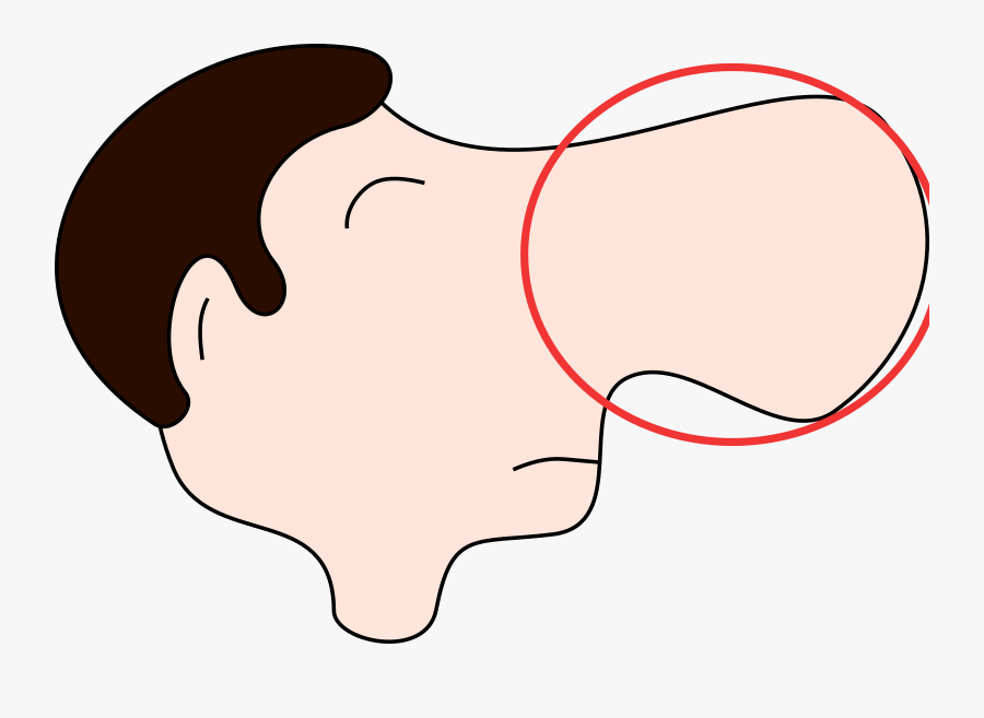 Cartoon Nose Profile Clip Art Clipart - Big Nose Clipart, Transparent Clipart