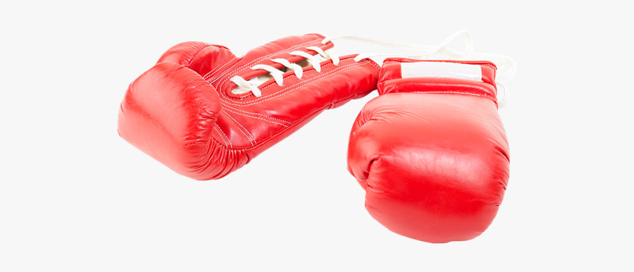 Boxing Glove Boxing Day Shoe, Transparent Clipart