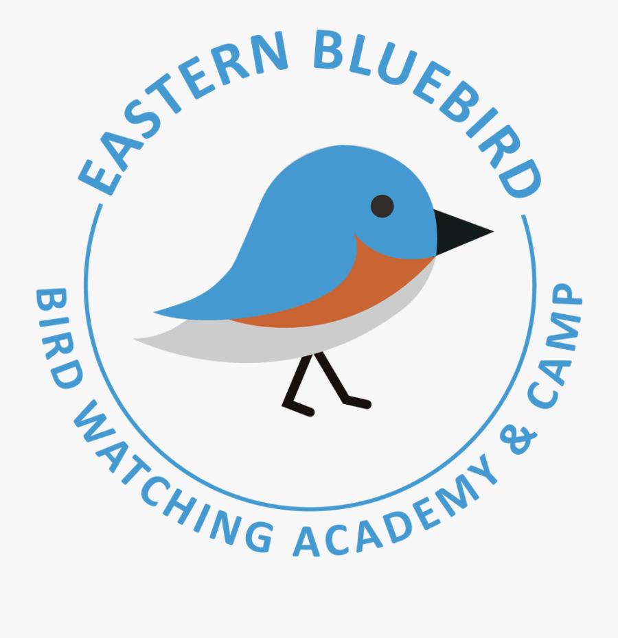 Eastern,bluebird,clipart - Eastern Bluebird, Transparent Clipart