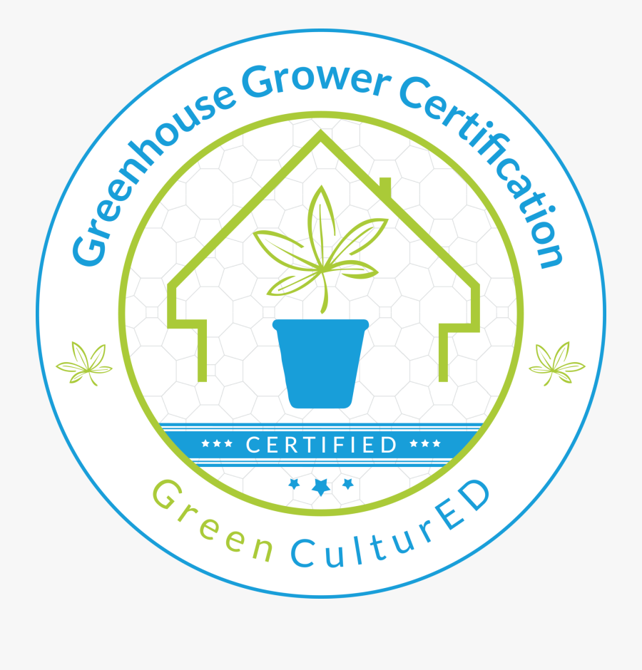 Circle, Transparent Clipart