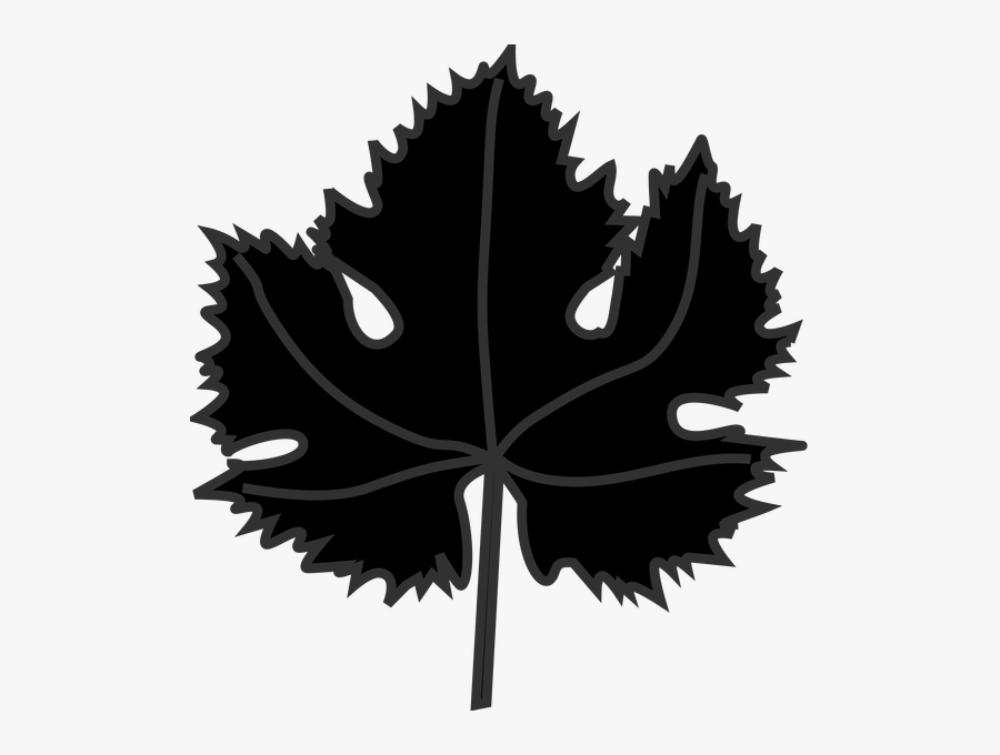 Image Freeuse Clipart Vines Download Wallpaper Full - Grape Leaf Black And White Png, Transparent Clipart