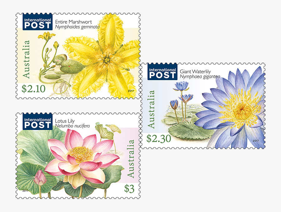 Water Plants Clipart - Australia Post Stamp Sets, Transparent Clipart