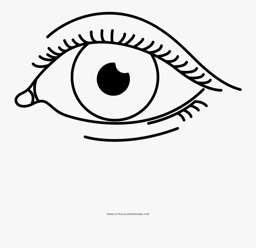 Transparent Ojos Png - Coloring Book, Transparent Clipart