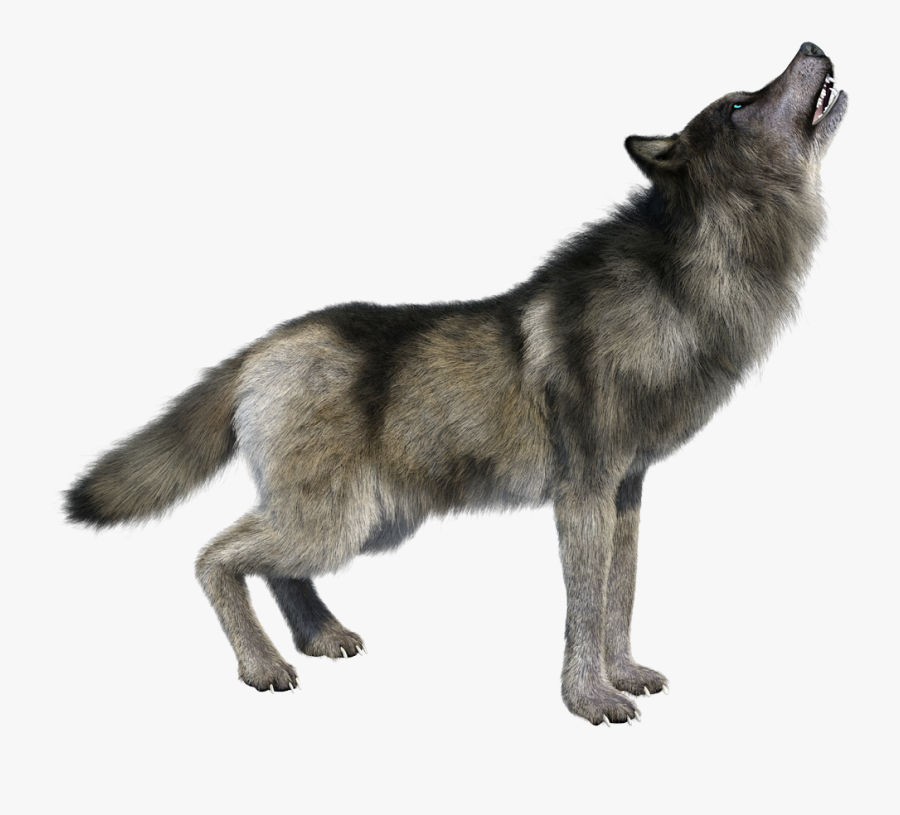 Howling Wolf Png Image Transparent - Transparent Wolf Howling Png, Transparent Clipart