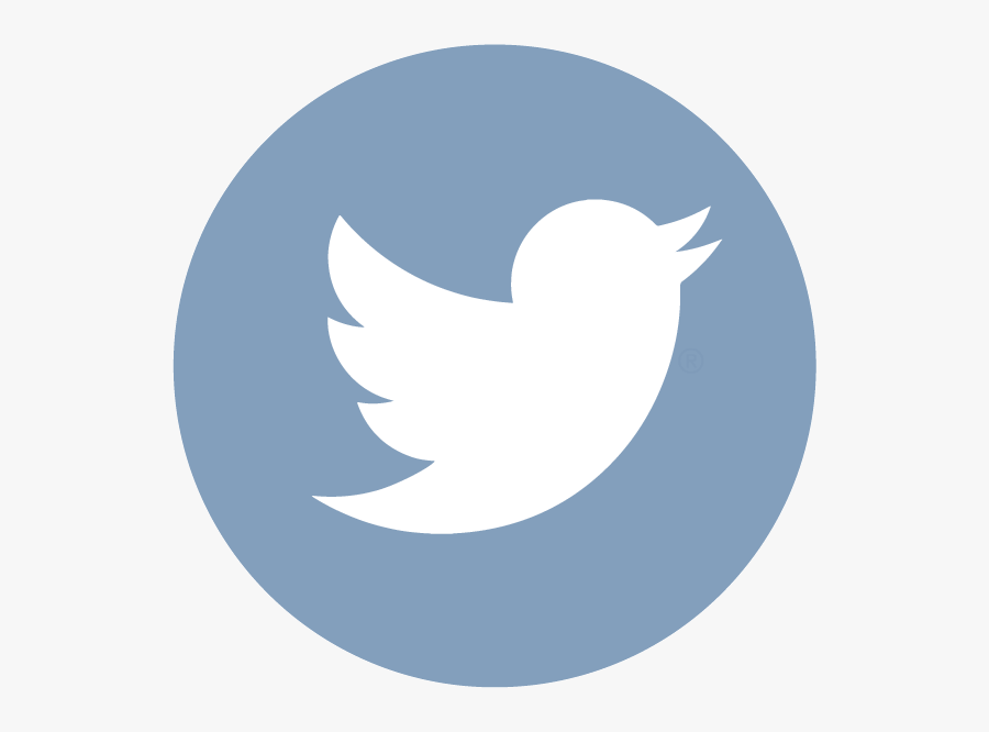 Twitter - Twitter Advertising Icon Png, Transparent Clipart