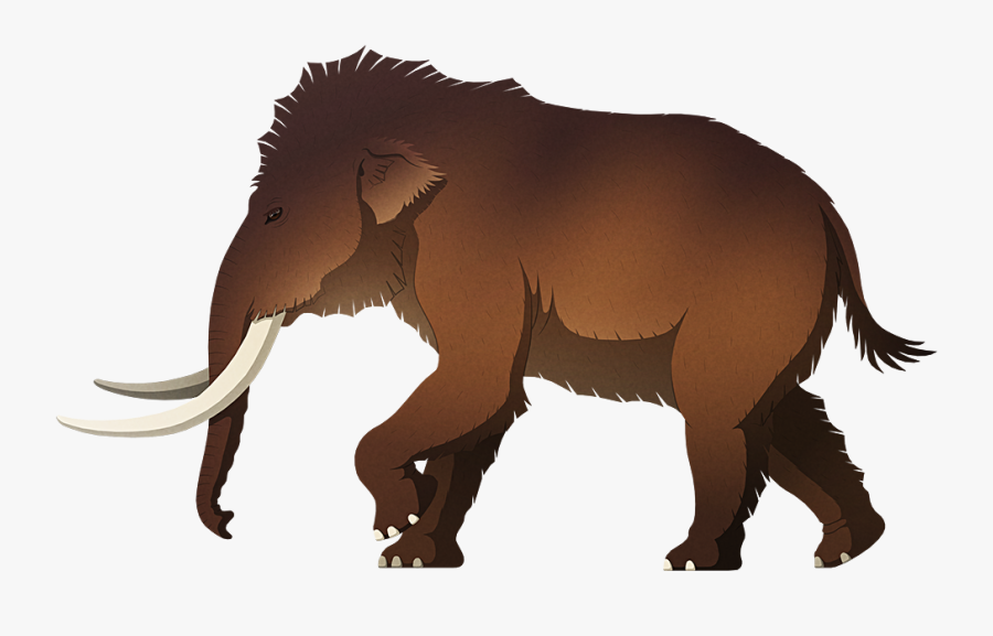 A Stylized Illustration Of An Extinct Pgymy Mammoth - Mammoth, Transparent Clipart