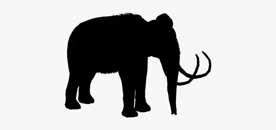 Frozen Woolly Mammoths Clipart Png Black And White - Indian Elephant, Transparent Clipart