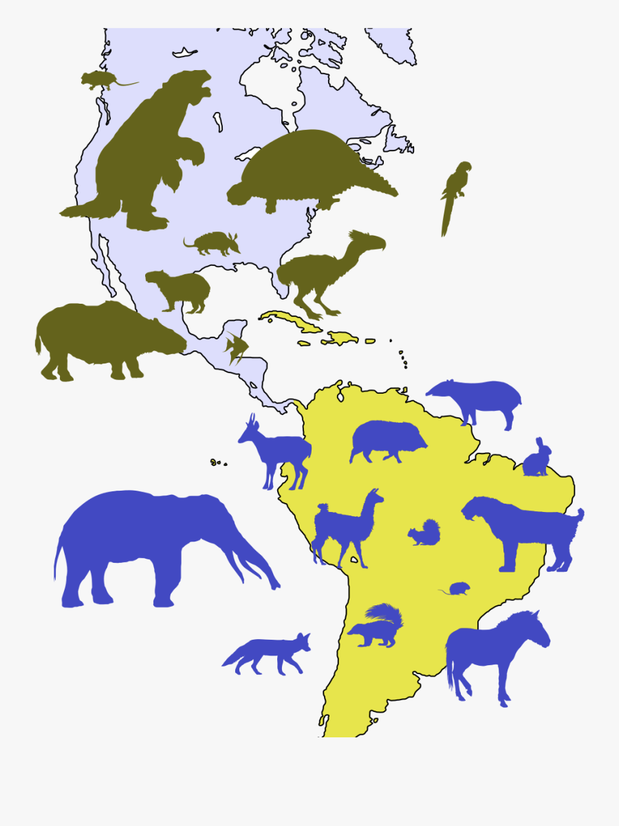 Woudloper, “great American Biotic Inter-change Examples,” - Great American Biotic Interchange, Transparent Clipart