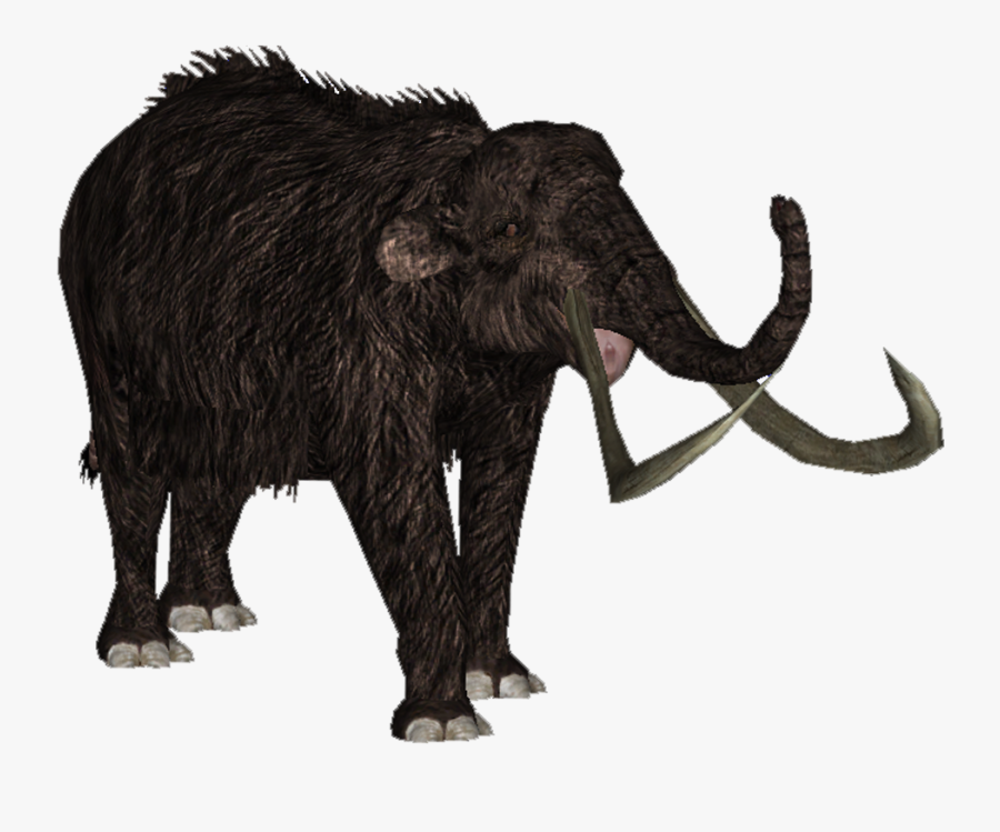 Transparent Mammoth Png - Indian Elephant, Transparent Clipart