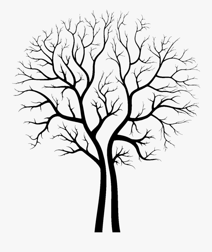 Roots Clipart Draw - Tree On White Back, Transparent Clipart