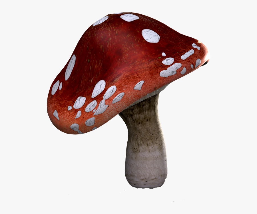 Transparent Red Mushroom Png - Red Mushroom Png, Transparent Clipart