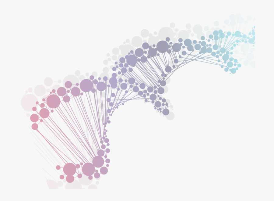 Munchkin Cat Genetics - Frontiers In Genetics, Transparent Clipart