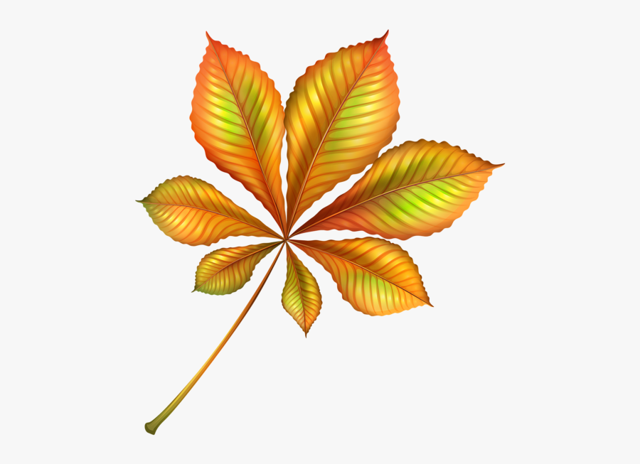 Beautiful Leaf Clip Art, Transparent Clipart