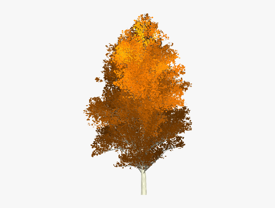 Herbst Baum Png, Transparent Clipart