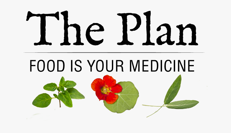 The Lyn-genet Plan, Transparent Clipart