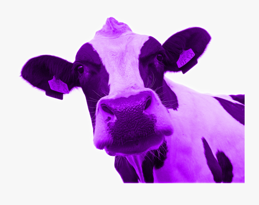 The Purple Gummy Bear Autumn Sunshine - Purple Cow Png, Transparent Clipart