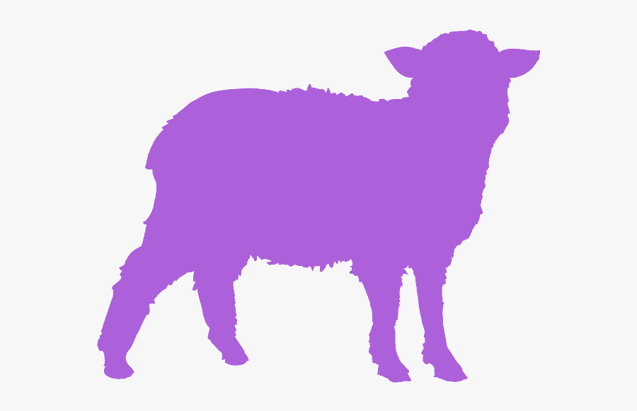 Sheep, Transparent Clipart