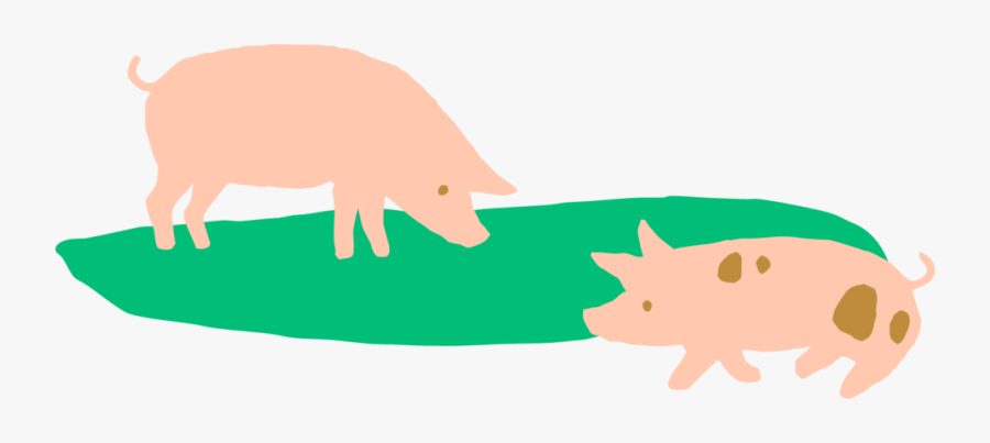 Pigs-landscape - Domestic Pig, Transparent Clipart