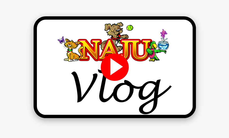 Picture, Transparent Clipart